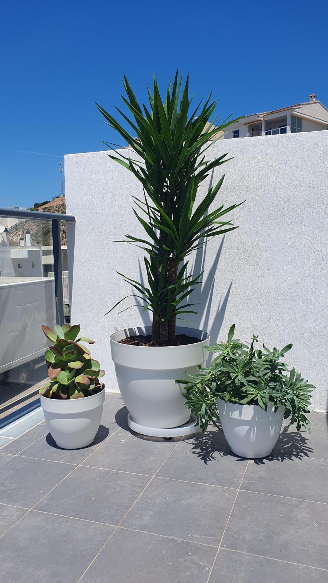 Casa Buena Vista Con Piscina Y Ascensor Βίλα Cullera Εξωτερικό φωτογραφία